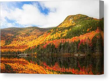 Nature Canvas Prints