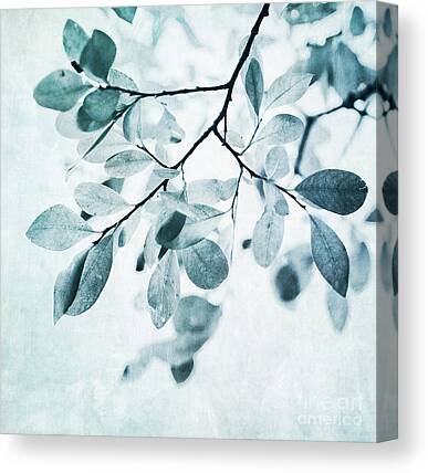 Shop for  Canvas Prints