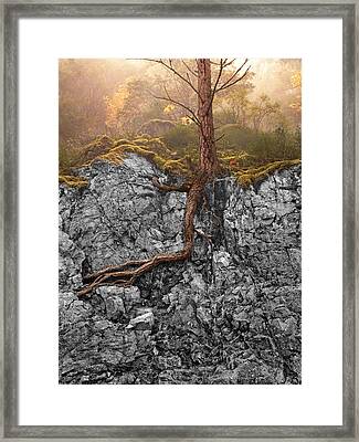 Mary Jo Allen Framed Art Prints