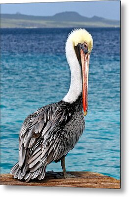 Shop for Wild Metal Prints