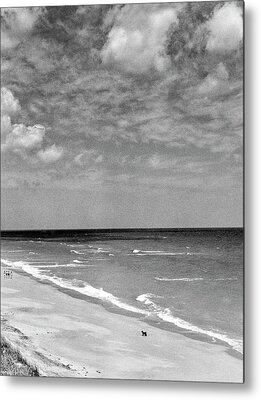 Shop for Dog Metal Prints