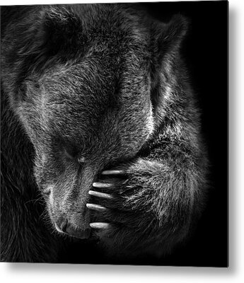 Shop for  Metal Prints
