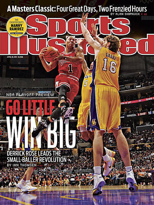 Chicago Bulls Covers Prints