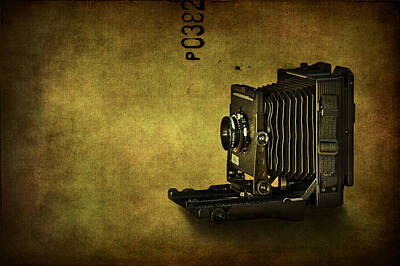 Vintage Camera Wall Art