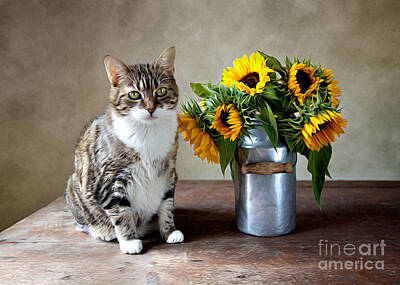 Shop for Still Life Posters