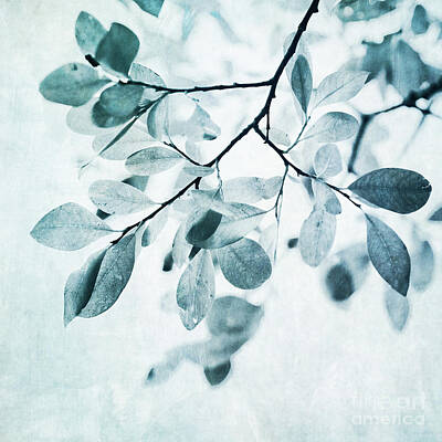 Priska Wettstein Wall Art