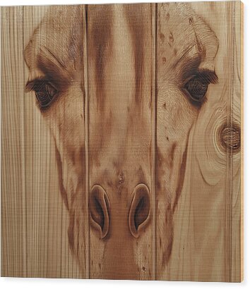 Giraffe Face Engraved in Wood Wood Print by Andre Petrov