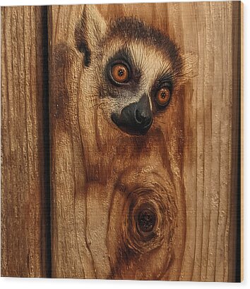 Lemur Engraved in Wood Wood Print by Andre Petrov