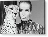 Model With Cheetah Acrylic Print by Franco Rubartelli