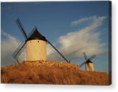 Consuegra Windmills Acrylic Print