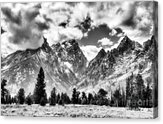 Grand Teton Np In Black And White Acrylic Print