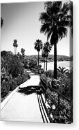 Laguna Beach Heisler Park In Black And White Acrylic Print