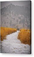 The Flatirons At Chautauqua Park Boulder Colorado Acrylic Print