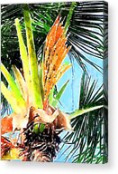 Under The Coconut Palm Acrylic Print