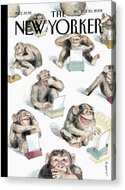 Monkeys Typing on Typewriters Acrylic Print by Barry Blitt