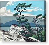 White Pine By A. J. Casson Acrylic Print by Alfred Joseph A J Casson