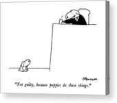 Courtroom Dog Cartoon Acrylic Print