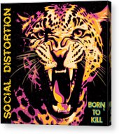 Social Distortion Born To Kill Tour 2026 Wood Print by Dandelion