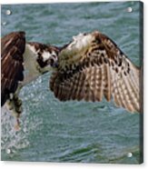 Lift Objective Acrylic Print