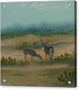 Nopalera Acrylic Print