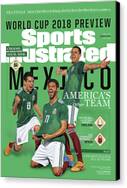 World Cup Excitement Canvas Print