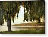 Serene Lakeside Willow Tree View Canvas Print