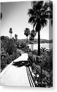 Laguna Beach Heisler Park In Black And White Canvas Print