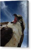 Sound The Alarm Canvas Print