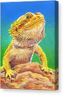 Bearded Dragon Portrait Canvas Print