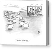 Sheep Facing Fox Billboard Canvas Print