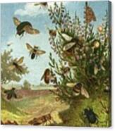 Insects in a Vibrant Landscape Canvas Print