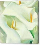 Calla Lilies by Georgia O'Keeffe Canvas Print