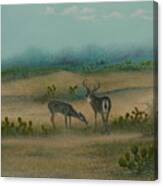 Nopalera Canvas Print