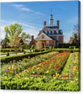 Tulip Garden At The Governor's Palace Canvas Print