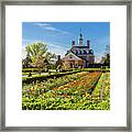 Tulip Garden At The Governor's Palace Framed Print