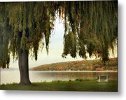 Serene Lakeside Willow Tree View Metal Print