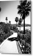 Laguna Beach Heisler Park In Black And White Metal Print