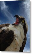 Sound The Alarm Metal Print
