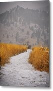 The Flatirons At Chautauqua Park Boulder Colorado Metal Print