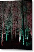Longwood Gardens - Tree Walk At Night Metal Print
