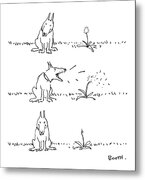 Dog Watching Dandelion Puff Metal Print