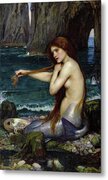 Mermaid by John William Waterhouse Metal Print