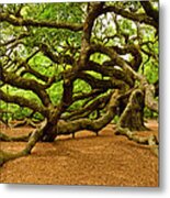 Angel Oak Tree Expansive Branches Metal Print