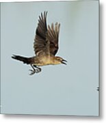 Launch Sequence Metal Print