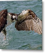 Lift Objective Metal Print
