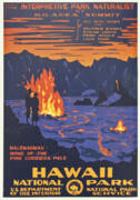 Vintage Hawaii National Park Poster Poster