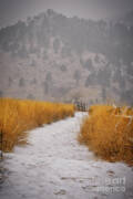 The Flatirons At Chautauqua Park Boulder Colorado Poster