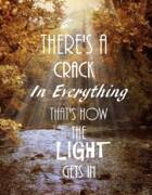 Sunlit Forest with Inspirational Quote Poster