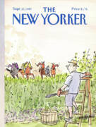 Ladder-Wielding Gardener Meets Racing Horses Poster