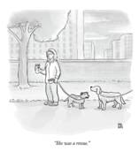 Woman Walking Dogs in the Park Poster